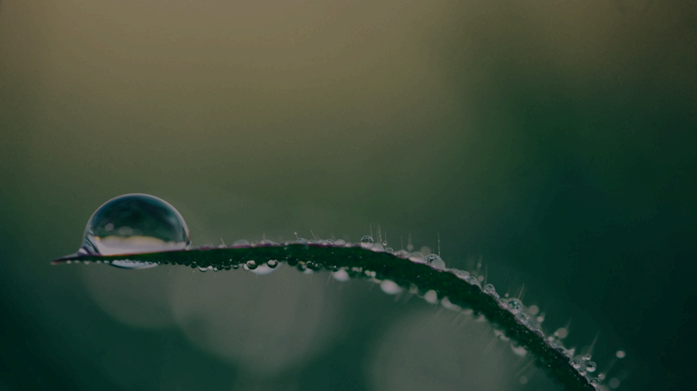 Magazine cover beauty